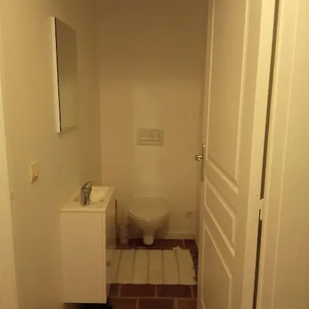 Maison Lauraguaise Parking Grand Jardin Wifi * Villenouvelle