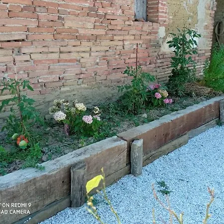 Maison Lauraguaise Parking Grand Jardin Wifi Nyaraló *