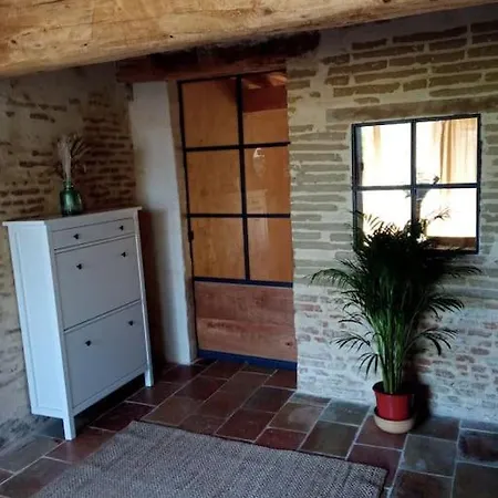 Maison Lauraguaise Parking Grand Jardin Wifi * Villenouvelle