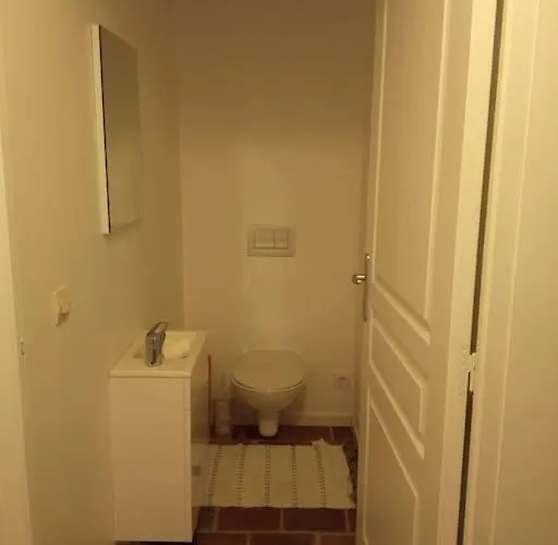 Maison Lauraguaise Parking Grand Jardin Wifi * Villenouvelle