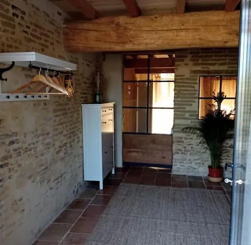 Maison Lauraguaise Parking Grand Jardin Wifi *