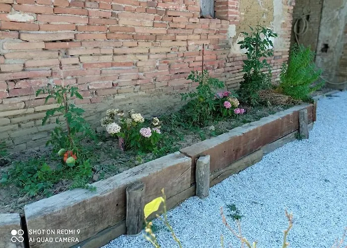 Maison Lauraguaise Parking Grand Jardin Wifi Vakantiehuis *