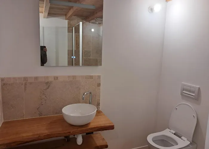 Maison Lauraguaise Parking Grand Jardin Wifi Villenouvelle